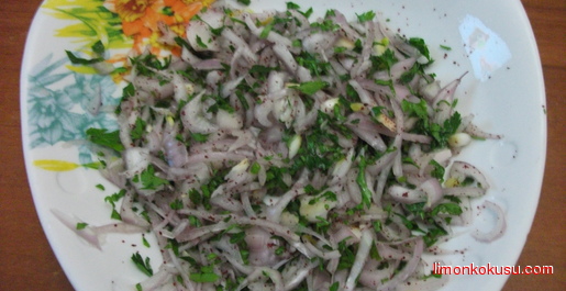 Sumaklı Soğan Salatası Tarifi